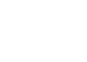 Theatre for the People